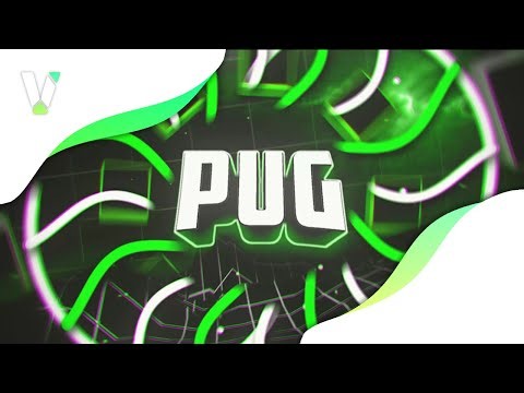 [ PZP ] 💲 Basic Intro & Outro for Pug ( insp Antihero Sharkblox Intro & Joehe Outro ) | VETERFX
