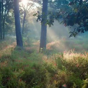 If you haven't visited in a while, fall is the perfect time to come back to the Houston Arboretum & Nature Center! | Houston Arboretum & Nature Center