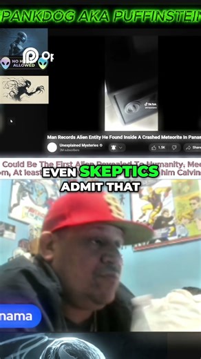 Mysterious Footage Captivates Even Skeptics Black Ooze Theories Explored