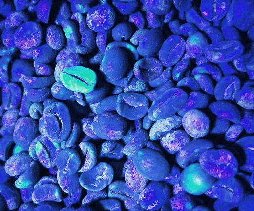 Course - Coffee Quality Control