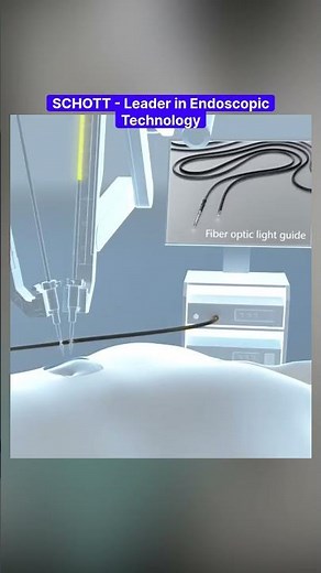 SCHOTT is a Leader in Endoscopic Technology