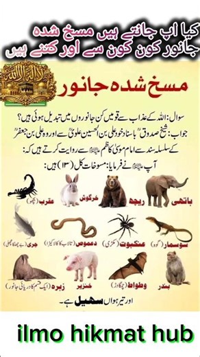 Transformed Animals: Creatures Affected by Allah's Punishment"