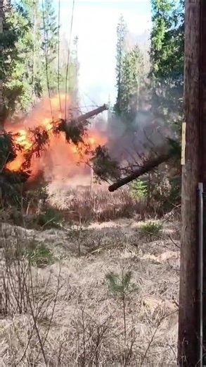 ONE Nordic röjer efter stormen Dave