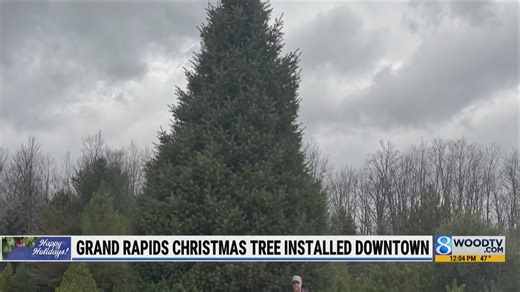 Grand Rapids hoists Christmas tree in record time