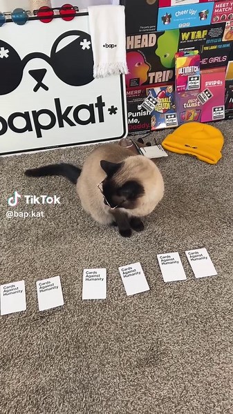 Playful Cat Dancing and Meowing Compilation