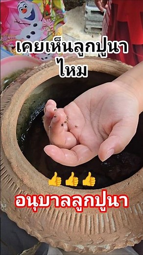 อนุบาลลูกปูนา ลูกปูนาเกิดใหม่​ #คลิปน่ารักสนุกๆ​ #คลิปใหม่มาแรง #คลิปฮิตติดกระแส