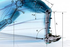 Gait Cycle and Analysis