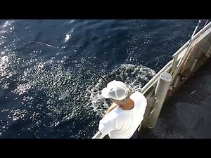 False Albacore fishing from Brielle NJ