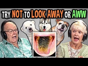 Elders React To Try Not To Look Away Or Aww Mega Challenge