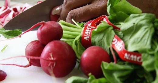 Wisconsin Foodie:MPS ProStart | Turtle Creek Gardens Season 8 Episode 3