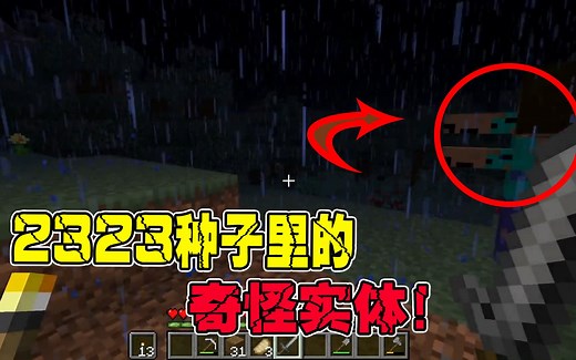 我的世界：关于2323种子里的，那个奇怪实体！