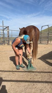 This is his first time with a hoof jack. He actually seemed to enjoy using it | Scout's Trail