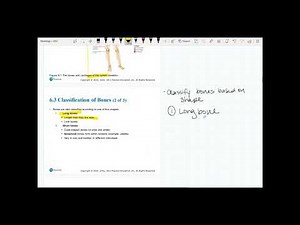 Chapter 6 - Skeletal Tissue (video 1 [6.1-6.3]) - Marieb Anatomy & Physiology