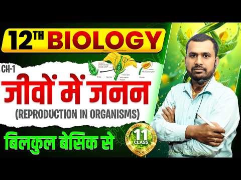 Class 11 Biology | Reproduction in Organisms Full Chapter 🔥 | NEET + Boards