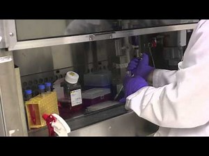 SURE 2013: Dextranase Aqueous Two Phase System Cell Migration Assay