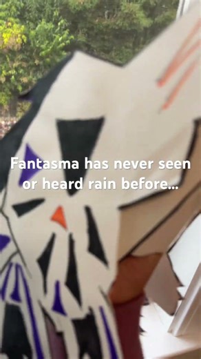 Fantasma freaks out cuz rain exists