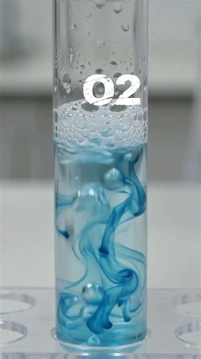 Hydrogen Peroxide + Copper Sulfate | Catalytic Decomposition Chemistry Experiment
