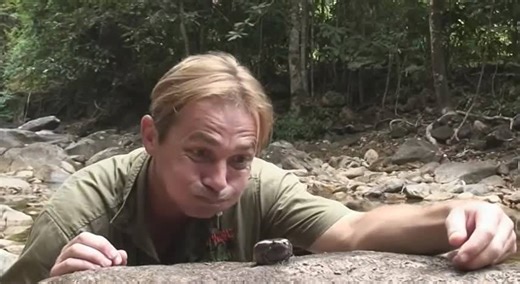 Showcasing the most interesting, largest, and most unusual frog species globally