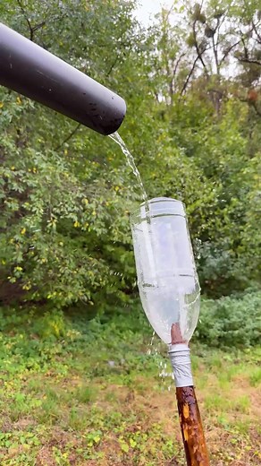 415K views · 436 reactions | DIY Bird Repeller | Crafty Panda | Facebook