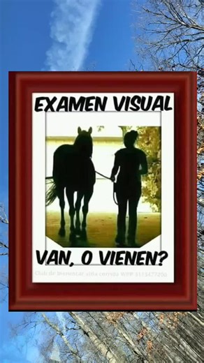 Visual Exam of Horses: Leading a Dark Horse