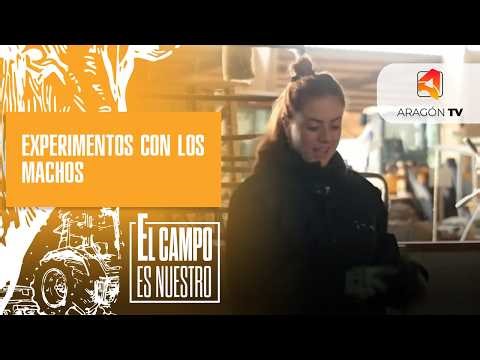 Harmless experiments with males