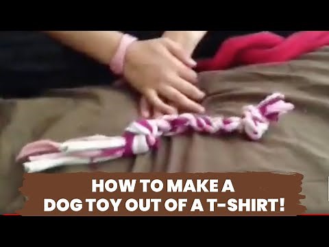 How to make a dog toy out of a T-shirt!