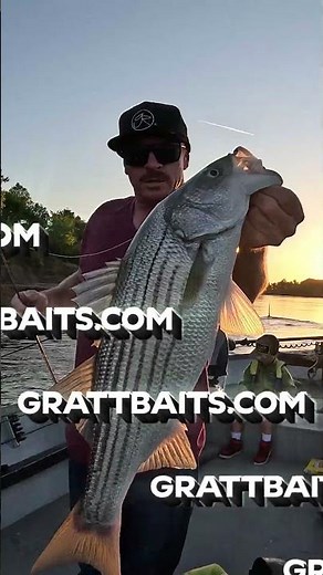 Get BIT with G-ratt Baits #fishing #bassfishing #angler #grattbaits
