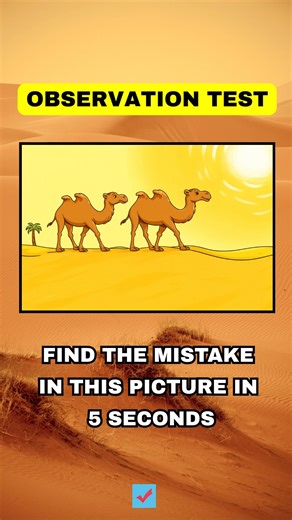 How good is your observation skills? | MyDailyQuizz