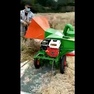 Multi Crop Thresher Wheat and Corn and Rice and Beans Small Grain Thresher