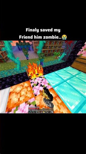Minecraft Zombie neither moment