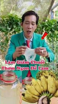Bí Quyết Cách Làm Giấm Chuối Thơm Ngon Dễ Làm | #nhipsongmoi #meovat #meovathuuich #biquyet #shorts