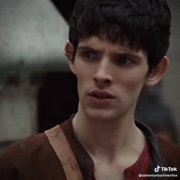 Jealous Merlin: A Funny Animal Edit