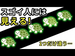 [Brain Training] Amazing If You Can See It! Color Vision Test with Odd One Out