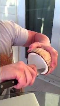 How to make a coconut bra 2