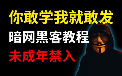 你敢学我就敢发！暗网黑客教程，全套568集还怕学不会？（零基础网络安全教程|渗透测试|DDOS攻防）