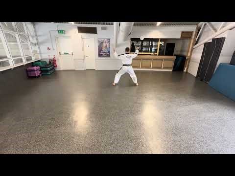 Toi-Gye Tul Performance: Mastering the 37 Movements of the Red Belt Pattern