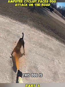 amputee cyclist faces dog attack on the road..hmm (Part 3) #fyp #viral #dog