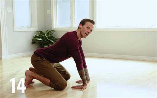 动物流教学 ｜ 00 Wrist Mobilizations 手腕活动度跟练 预防受伤 手腕康复 自重练习必做