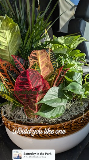 George Monks on Reels