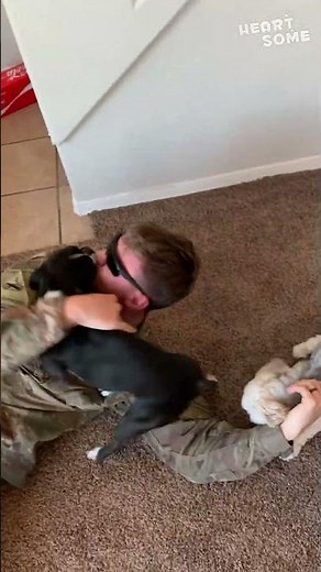 Emotional TAIL WAGS! Soldier Surprises Dogs with EPIC Reunion! #MilitaryHomecoming