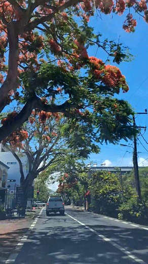 17K views · 225 reactions | Sanjiv Luckhea on Reels | Facebook