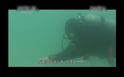 潜水电影733（《谍战深海