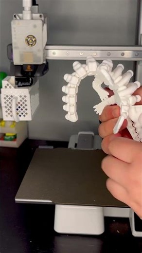 Articulated crocodile skeleton