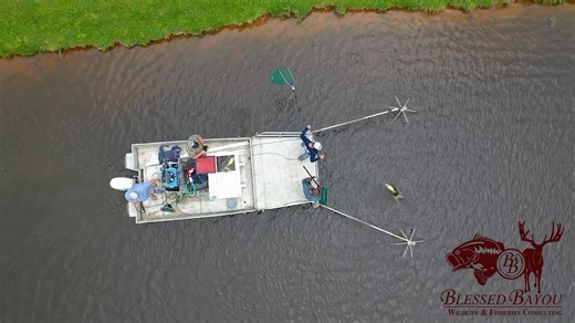 We hope everyone has a great Friday! | Blessed Bayou Wildlife and Fisheries Consulting