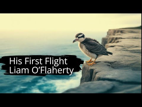 YOUNG SEAGULL LEARNS TO FLY | His First Flight by Liam O’Flaherty Will INSPIRE You Forever