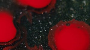 Ink Drop Paint Splatter Defocused Red Color Wet Stain Blotch