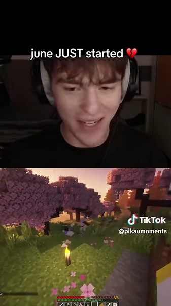 Funny Minecraft Wedding Moments and Memes