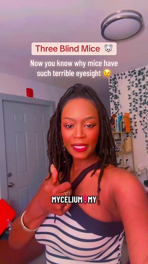 Three Blind Mice: The Truth Behind Their Eyesight