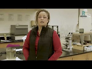 City Services: Wastewater Lab