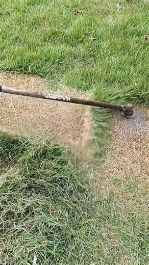 Satisfying Grass Trimming – Precision Lawn Cutting with High-Speed Trimmer